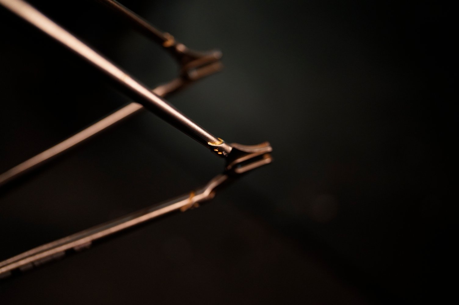 Triangle arrière et pattes du cadre acier nu.